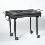 charcoal grill rental