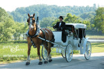 Horse-Drawn Carriage Entrance Outdoor Wedding Reception
