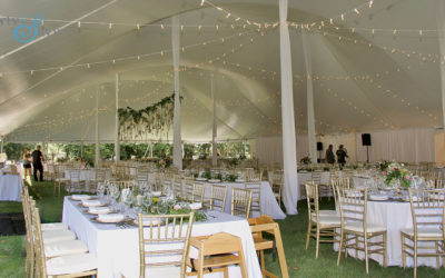 Stunning Tented Wedding at the Frick